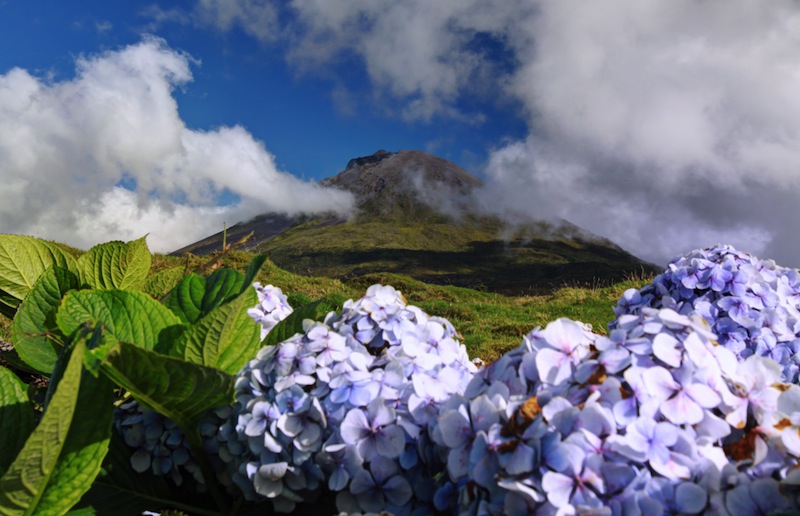 Pico island Azores Islands 