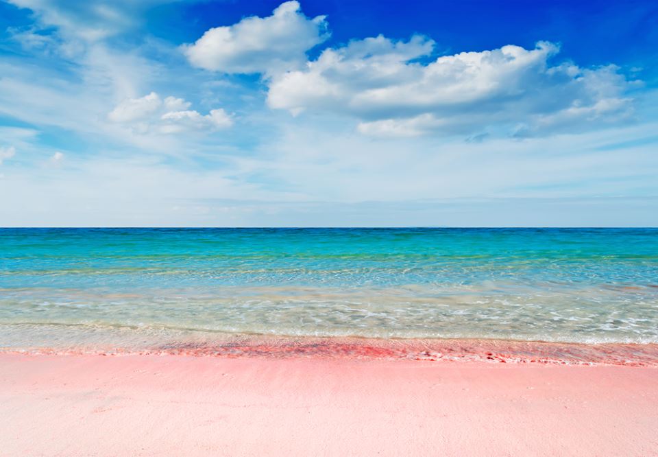 Pink Beach Bermuda