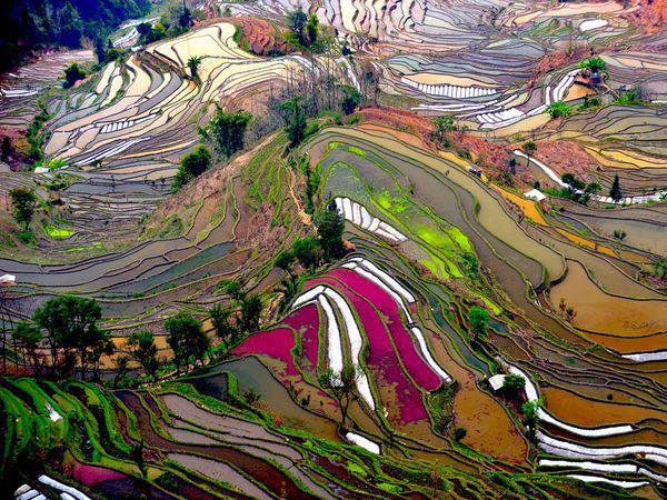 Rice Terraces of Ping ‘An 0Longsheng China