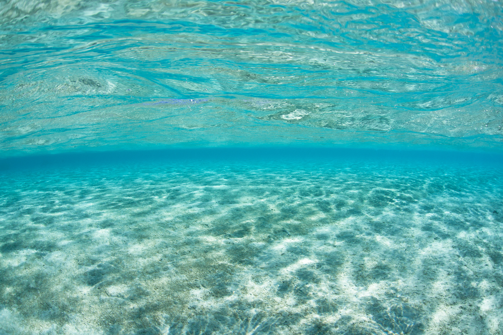 Crystal clear water inside a lagoon in the South Pacific exemplify the tropics