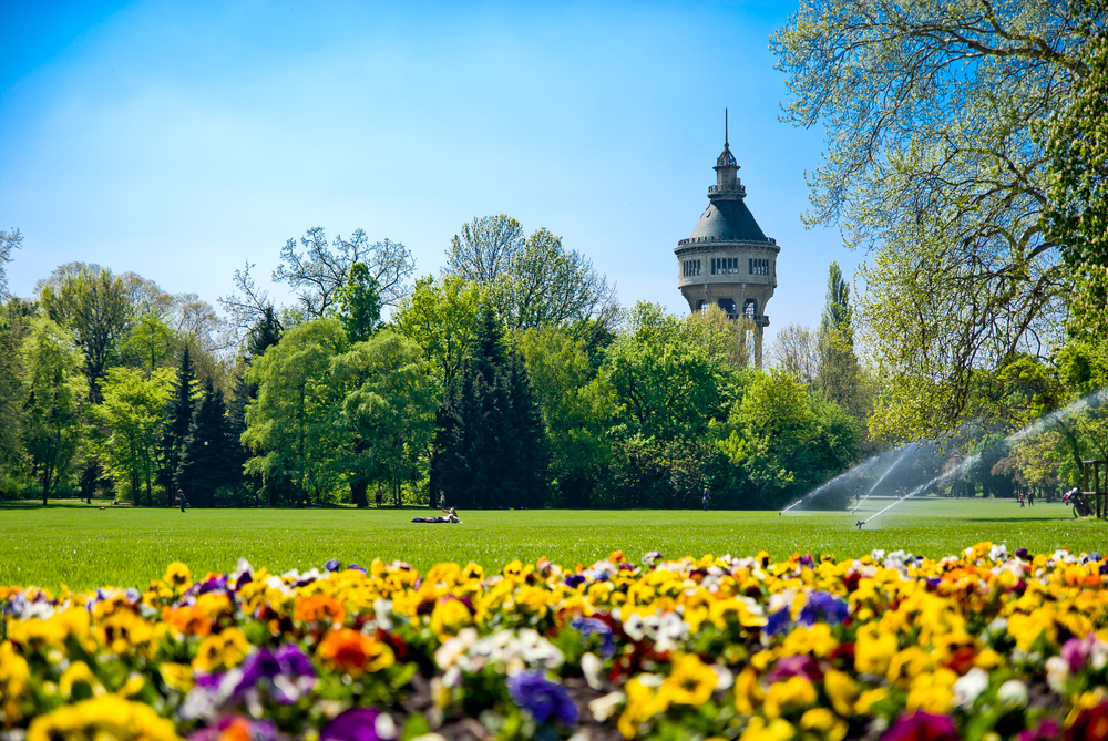 Green Park with Flowers and Tower hungary budapest