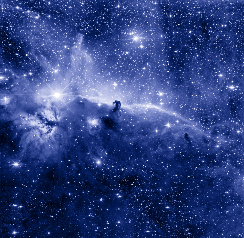 Horse Head nebula in blue color