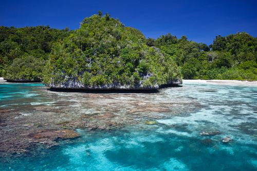 In northern Raja Ampat limestone islands protect a beautiful lagoon where a shallow coral reef thrives
