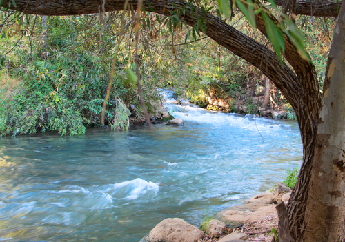 Jordan River Jordan River at the Hazbani one of the streams feeding the main Jordan in the North of Israel 
