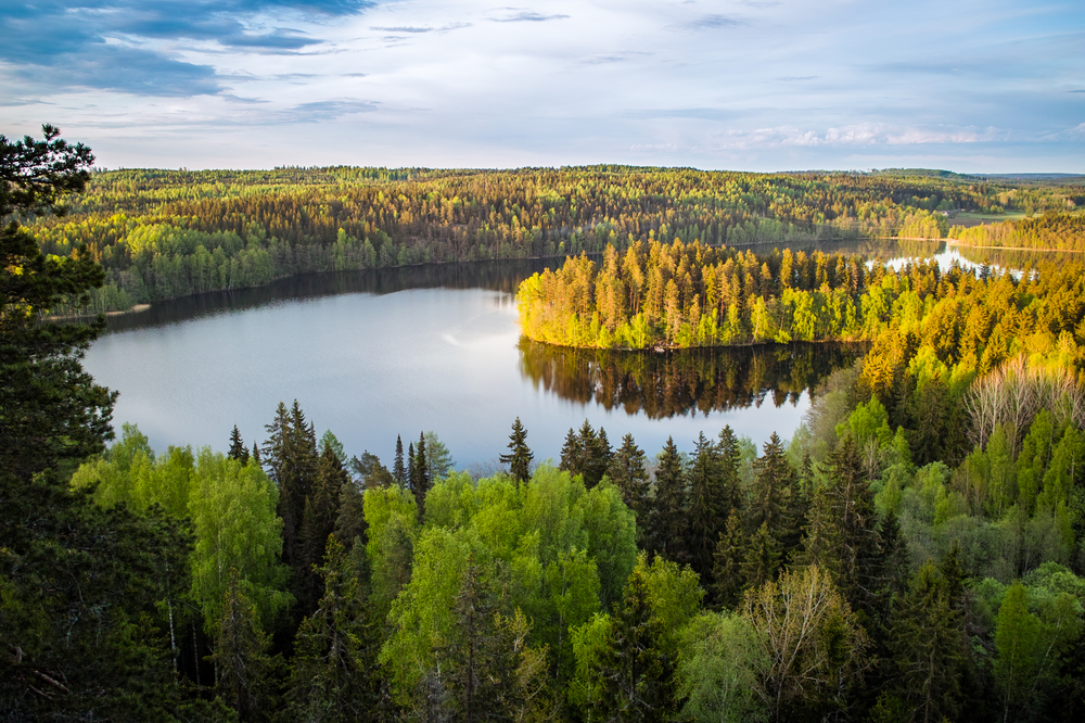 Lake view from the lookout tower in Finland 