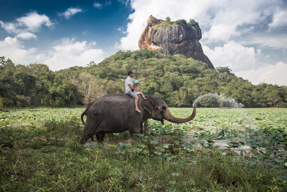 Man and child riding on the back of elephant with rock of Sigiriya as backdrop sri lanka