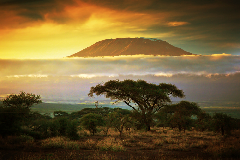 Mount Kilimanjaro and clouds line at sunset view from savanna landscape in Amboseli Kenya Africa 