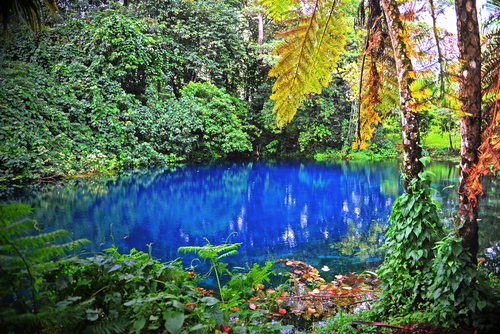 Nanda Blue Hole Espiritu Santo Vanuatu 