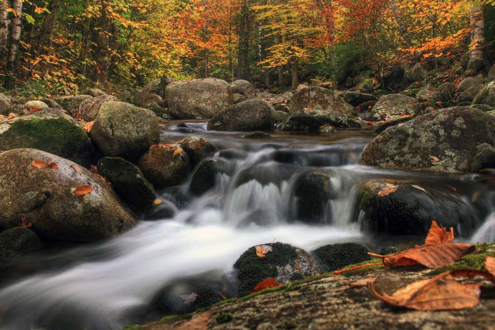New Hampshire autumn stream in the white mountains area