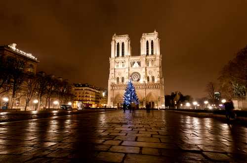 Notre Dame at night in Paris France 8