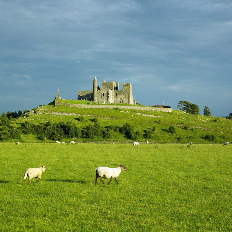 Rock of Cashel County Tipperary Ireland 