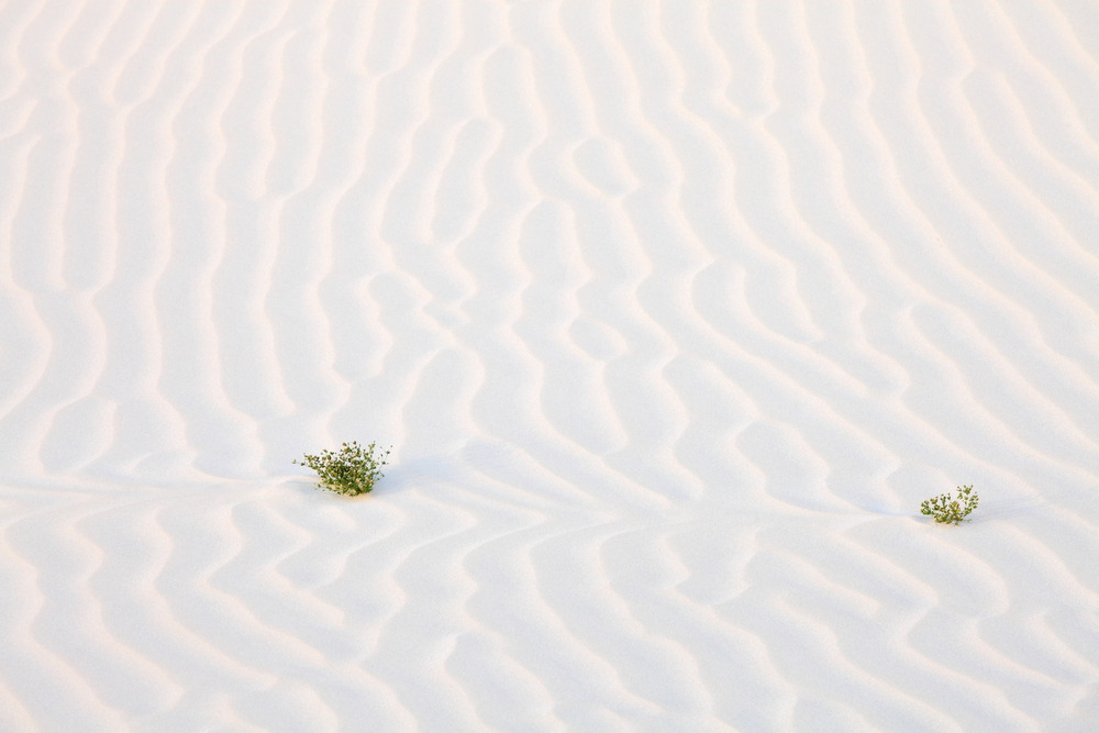 Sand desert dunes of Socotra island yemen