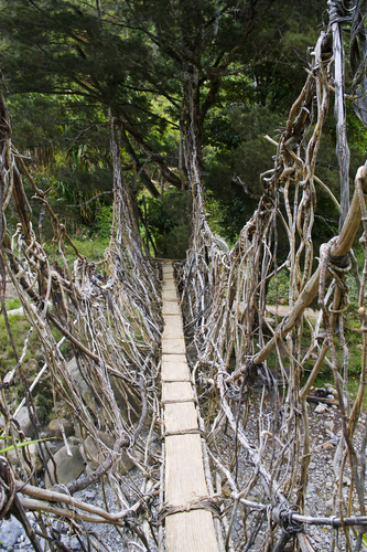 The Rope bridge in New Guinea 