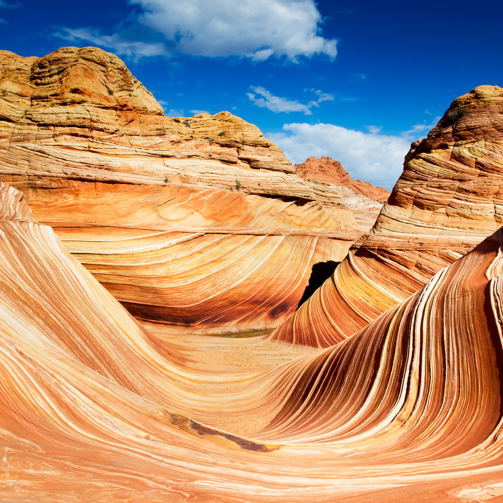 The Wave in Arizona rocky desert rock formation 