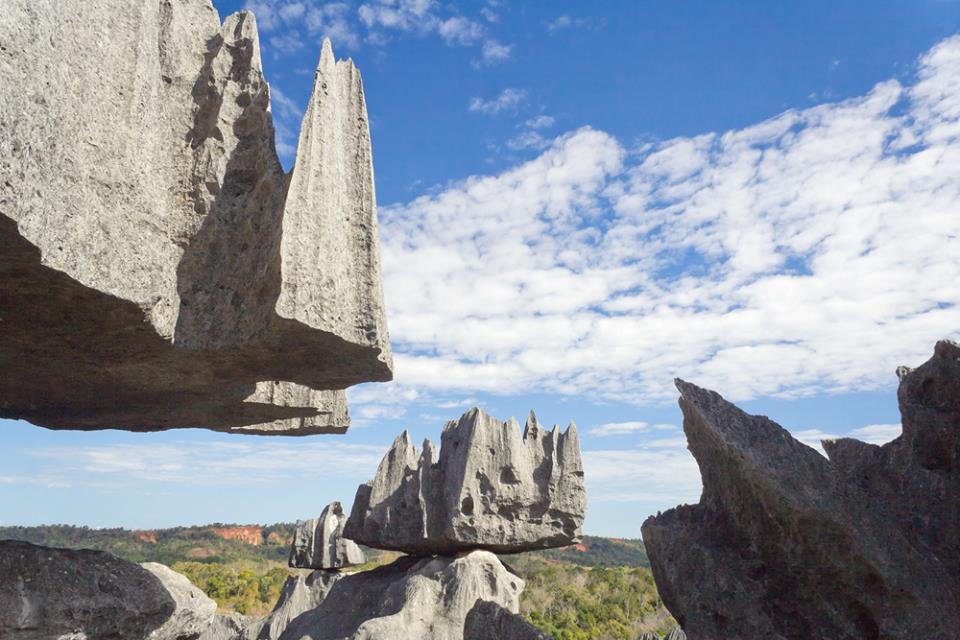 Tsingy de Bemaraha national Park Madagascar