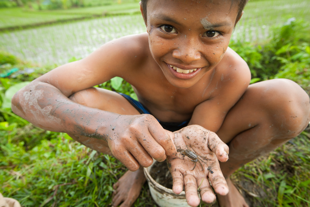 Unidentified poor kid catches small fish in a ditch near a rice field on March 31 2012 on Bali
