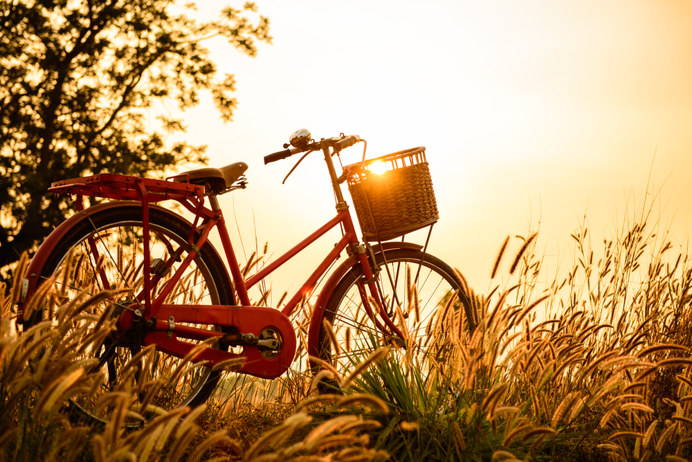 bicicletta tramonto3