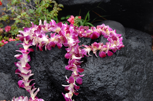 collana fiori hawaiii6
