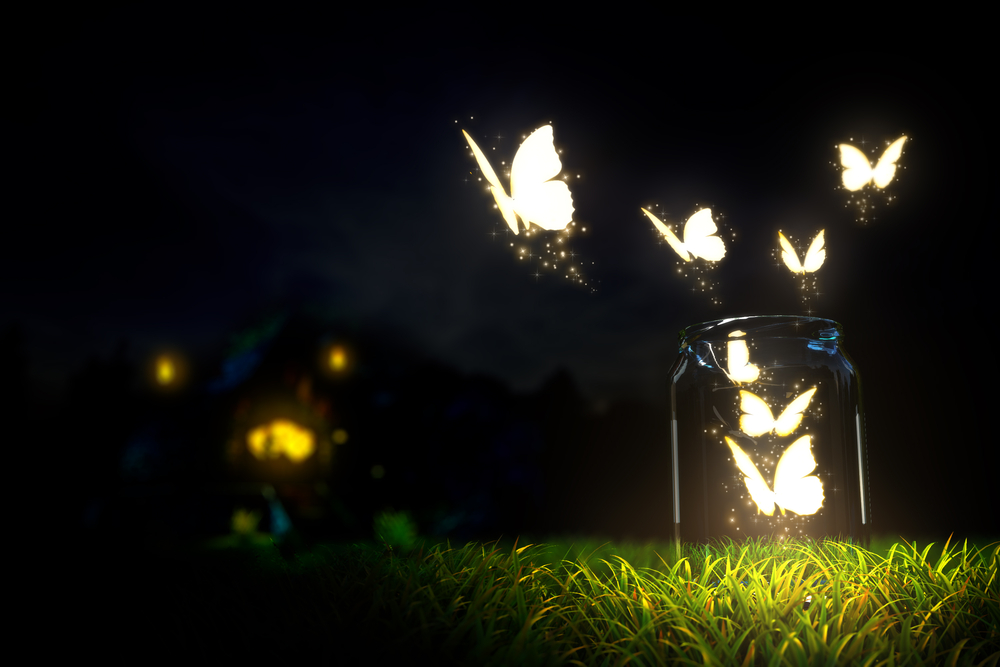 farfalle 8magiche