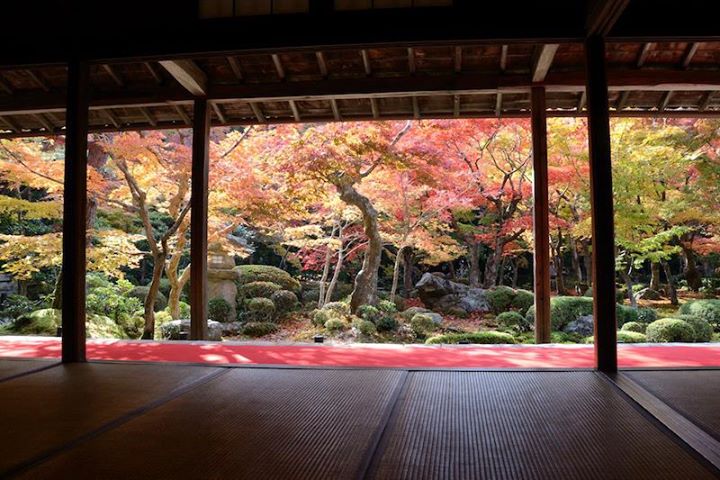 garden japan