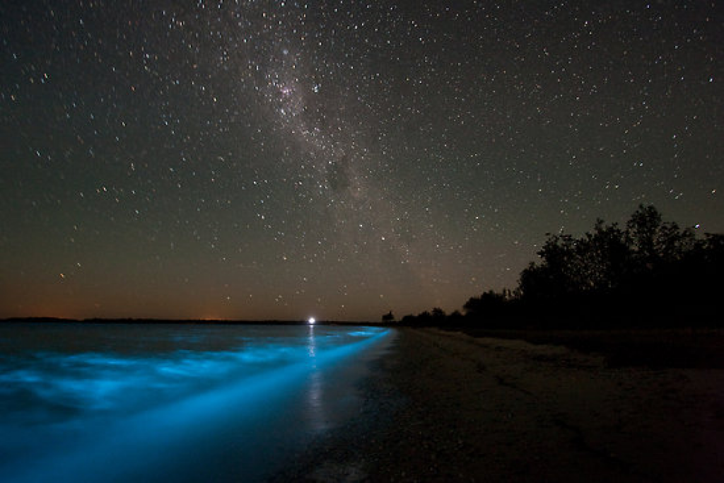 luminosa spiaggia maldivee_biolumin_883396711